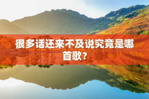 很多话还来不及说究竟是哪首歌？