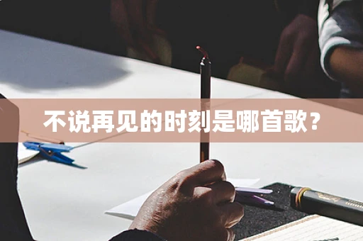不说再见的时刻是哪首歌？