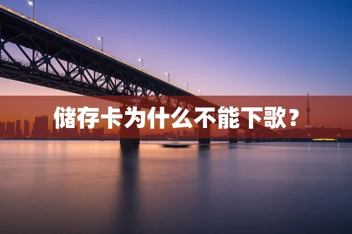 储存卡为什么不能下歌？