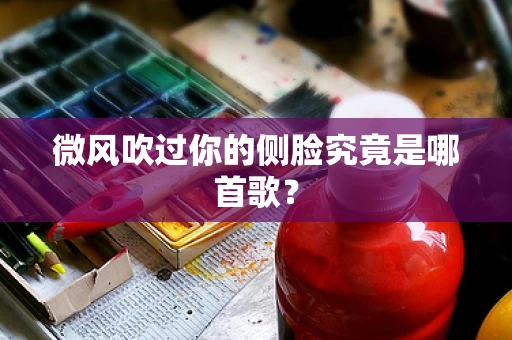 微风吹过你的侧脸究竟是哪首歌？