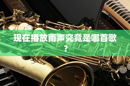 现在播放雨声究竟是哪首歌？