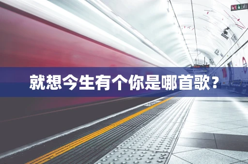 就想今生有个你是哪首歌？