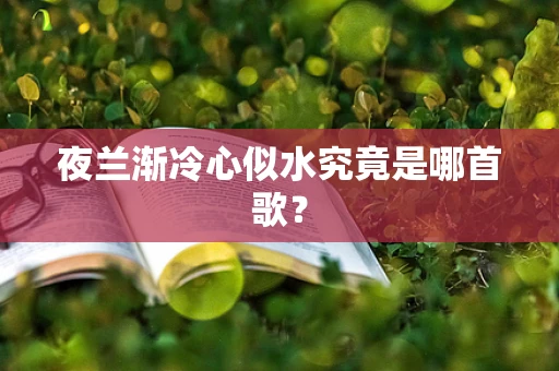夜兰渐冷心似水究竟是哪首歌？