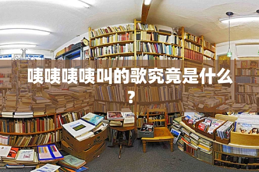咦咦咦咦叫的歌究竟是什么？