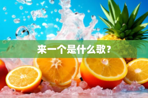 来一个是什么歌？