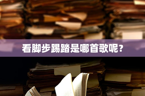 看脚步踢踏是哪首歌呢？