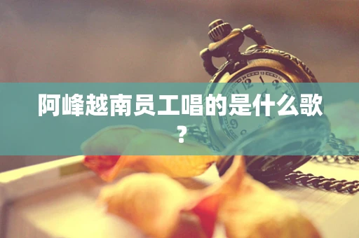 阿峰越南员工唱的是什么歌？