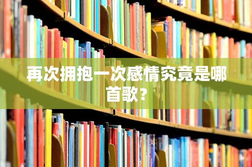再次拥抱一次感情究竟是哪首歌？