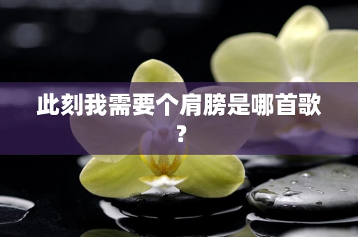 此刻我需要个肩膀是哪首歌？