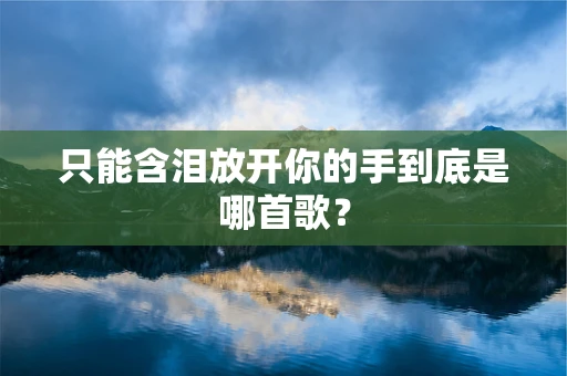 只能含泪放开你的手到底是哪首歌？