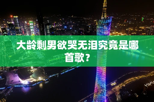大龄剩男欲哭无泪究竟是哪首歌？