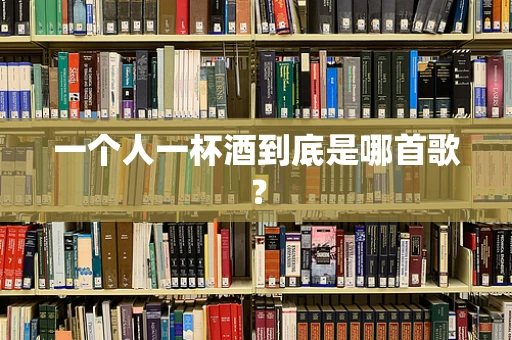 一个人一杯酒到底是哪首歌？