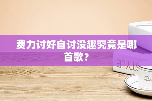费力讨好自讨没趣究竟是哪首歌？