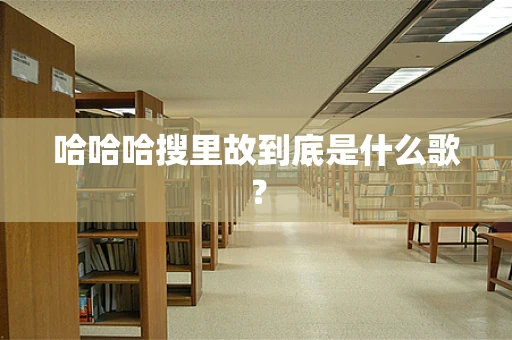 哈哈哈搜里故到底是什么歌？