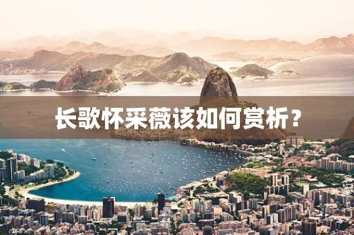 长歌怀采薇该如何赏析？
