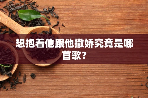 想抱着他跟他撒娇究竟是哪首歌？