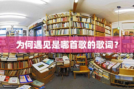 为何遇见是哪首歌的歌词？