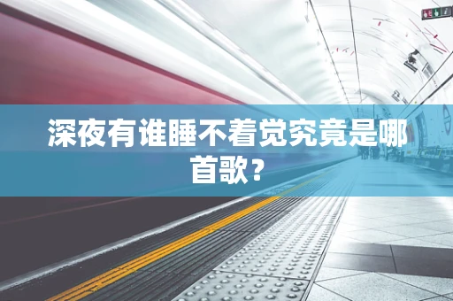 深夜有谁睡不着觉究竟是哪首歌？