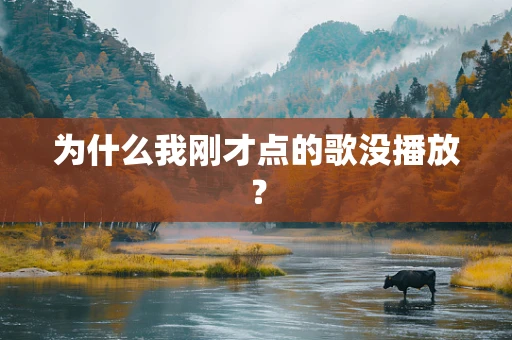 为什么我刚才点的歌没播放？