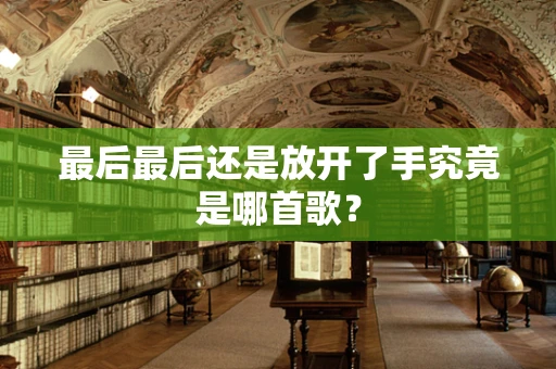 最后最后还是放开了手究竟是哪首歌？