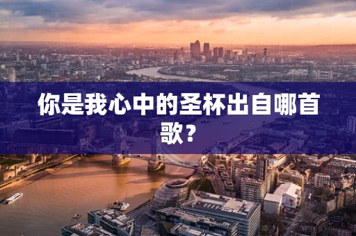 你是我心中的圣杯出自哪首歌？