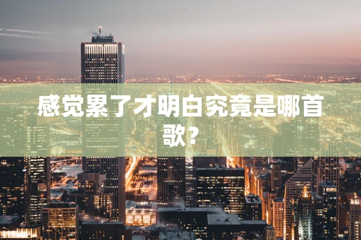 感觉累了才明白究竟是哪首歌？