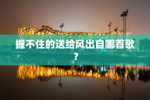 握不住的送给风出自哪首歌？