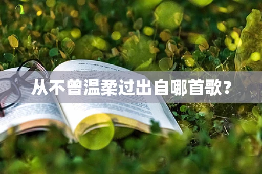 从不曾温柔过出自哪首歌？