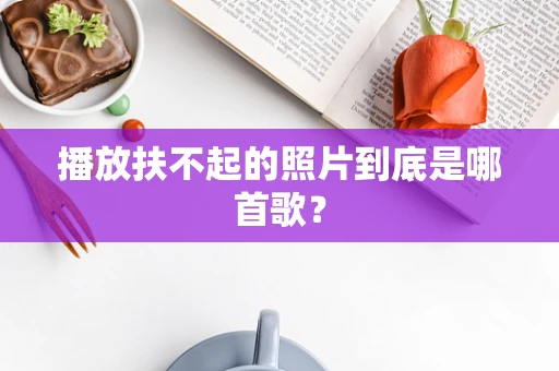 播放扶不起的照片到底是哪首歌？