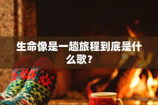 生命像是一趟旅程到底是什么歌？