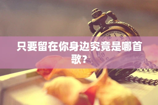 只要留在你身边究竟是哪首歌？