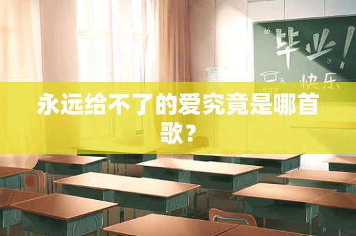 永远给不了的爱究竟是哪首歌？