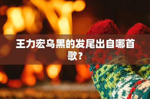 王力宏乌黑的发尾出自哪首歌？