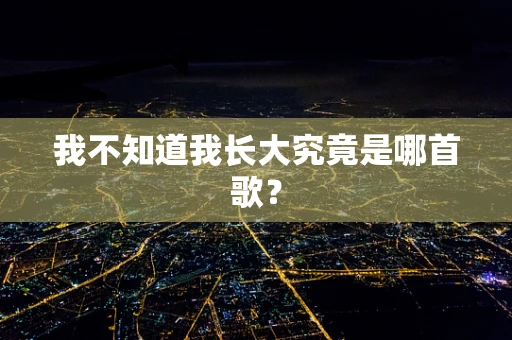 我不知道我长大究竟是哪首歌？