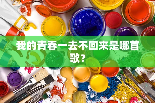 我的青春一去不回来是哪首歌？