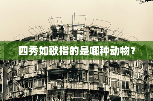 四秀如歌指的是哪种动物？