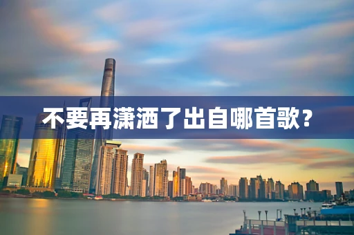不要再潇洒了出自哪首歌？