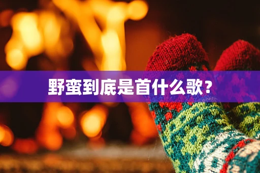 野蛮到底是首什么歌？