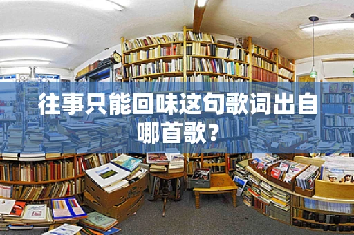 往事只能回味这句歌词出自哪首歌？