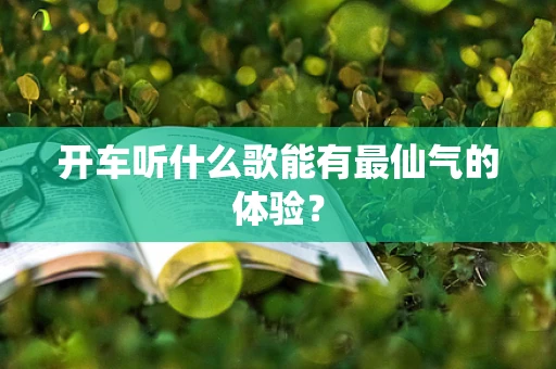 开车听什么歌能有最仙气的体验？