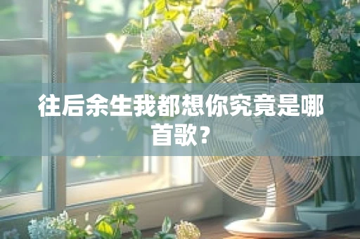 往后余生我都想你究竟是哪首歌？