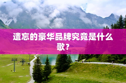 遗忘的豪华品牌究竟是什么歌？