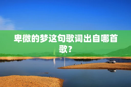 卑微的梦这句歌词出自哪首歌？