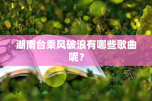 湖南台乘风破浪有哪些歌曲呢？