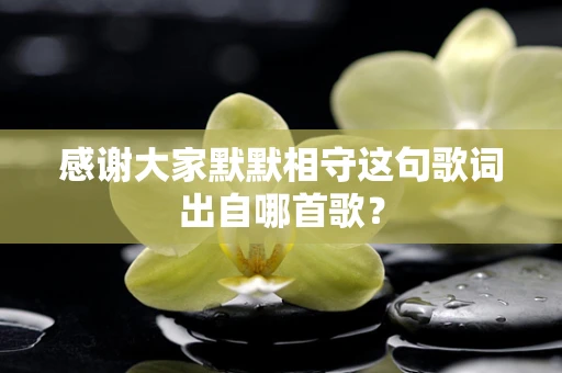 感谢大家默默相守这句歌词出自哪首歌？