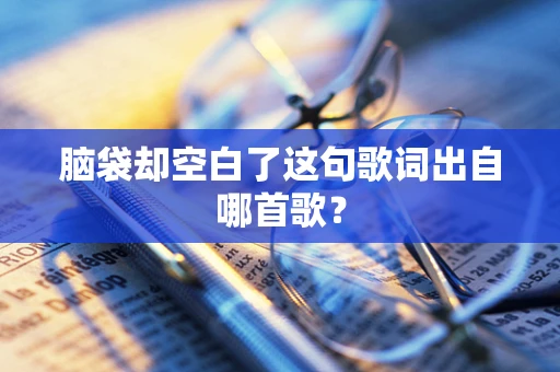 脑袋却空白了这句歌词出自哪首歌？