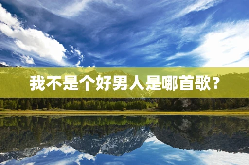我不是个好男人是哪首歌？