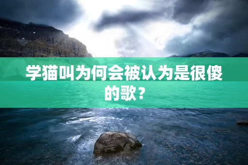 学猫叫为何会被认为是很傻的歌？