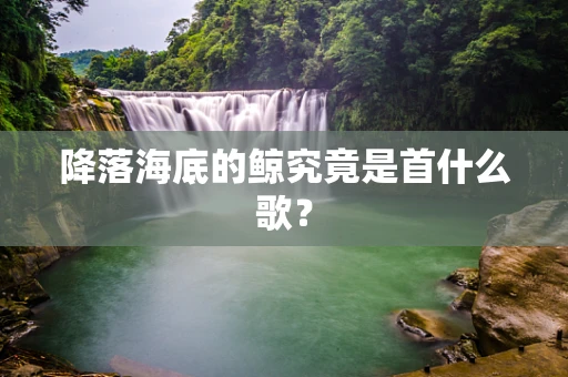 降落海底的鲸究竟是首什么歌？