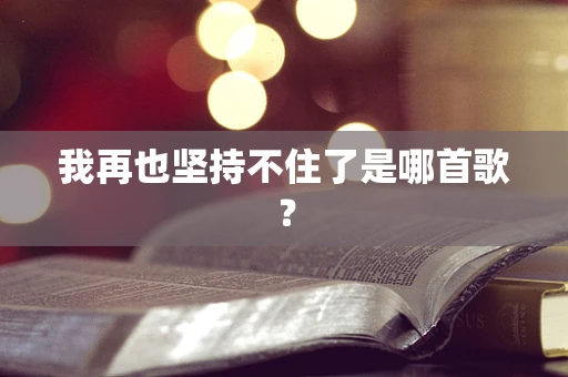 我再也坚持不住了是哪首歌？